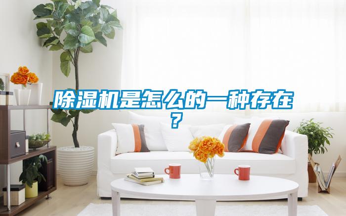 除濕機是怎么的一種存在?