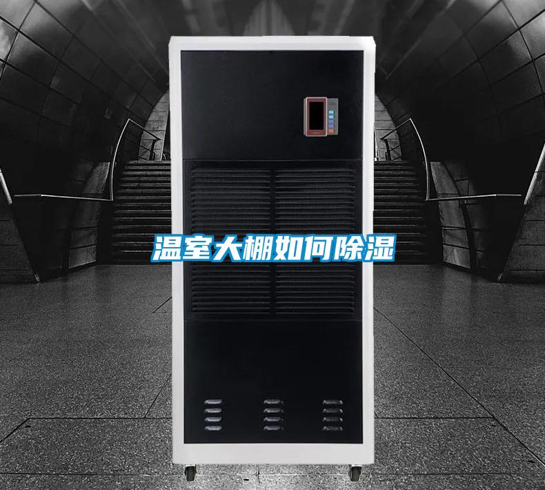 溫室大棚如何除濕