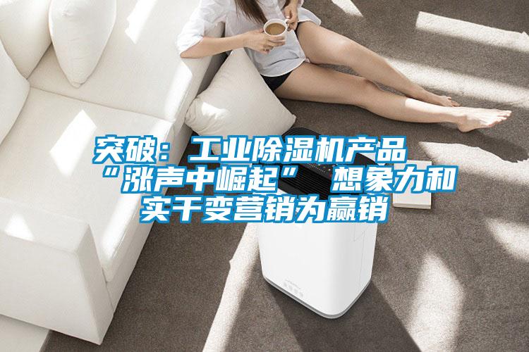 突破:工業除濕機產品“漲聲中崛起” 想象力和實干變營銷為贏銷
