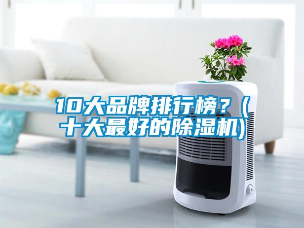 10大品牌排行榜？(十大最好的除濕機)