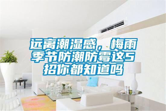 遠離潮濕感,梅雨季節防潮防霉這5招你都知道嗎