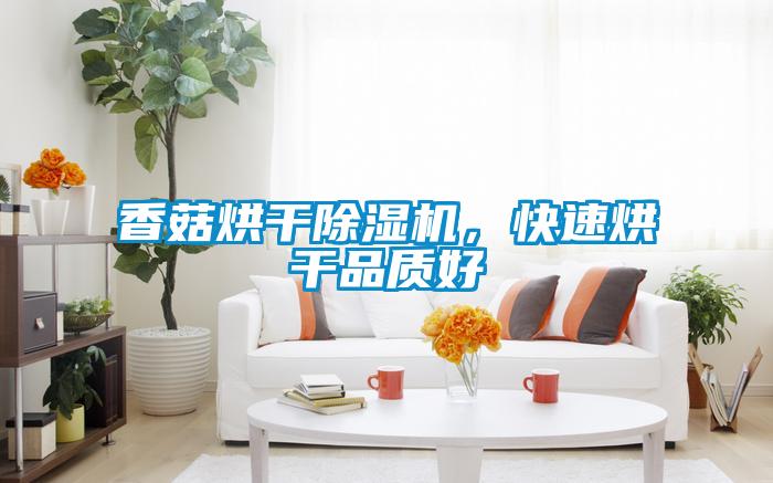 香菇烘干除濕機,快速烘干品質好