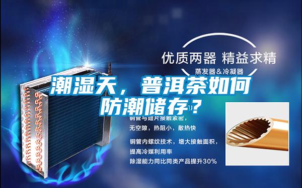 潮濕天，普洱茶如何防潮儲存？