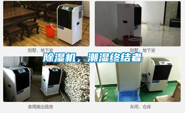 除濕機,潮濕終結者