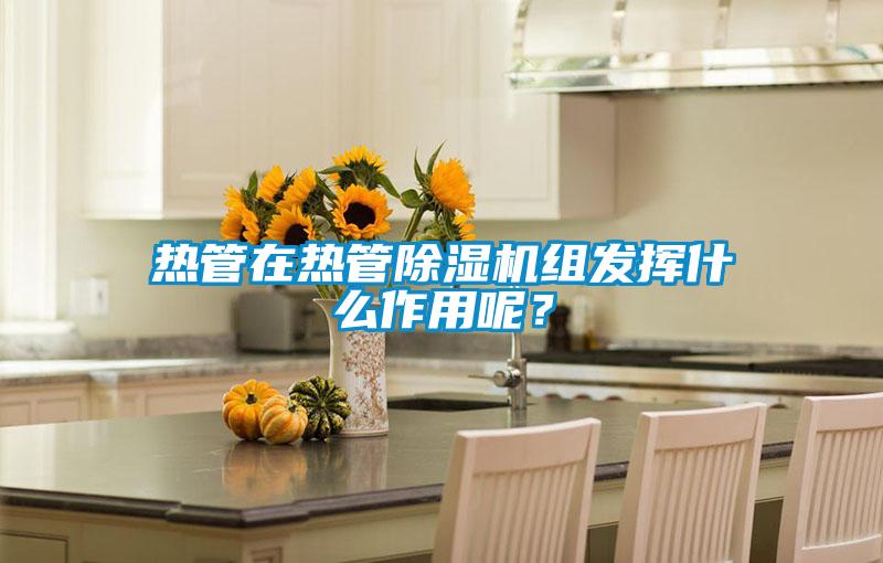 熱管在熱管除濕機組發揮什么作用呢？