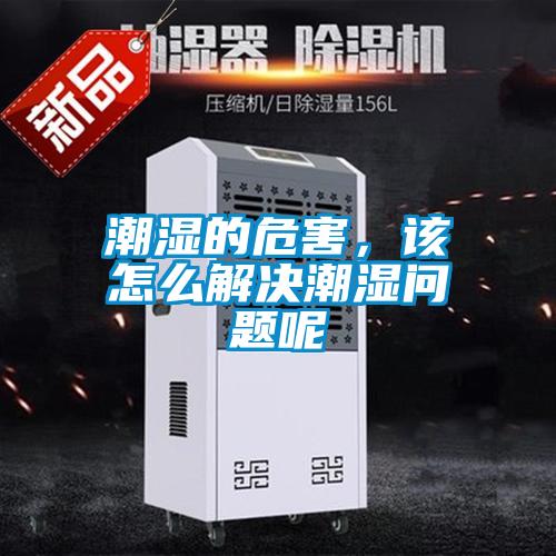 潮濕的危害,該怎么解決潮濕問題呢