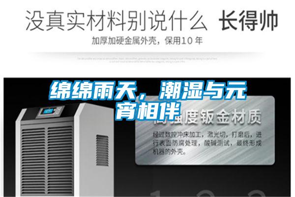 綿綿雨天,潮濕與元宵相伴