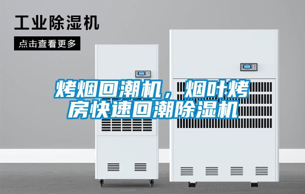 烤煙回潮機,煙葉烤房快速回潮除濕機