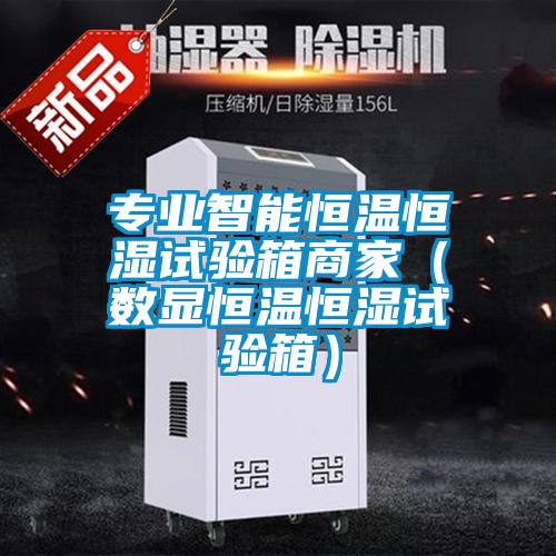 專業智能恒溫恒濕試驗箱商家(數顯恒溫恒濕試驗箱)