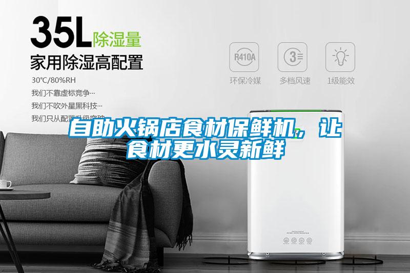 自助火鍋店食材保鮮機(jī),讓食材更水靈新鮮
