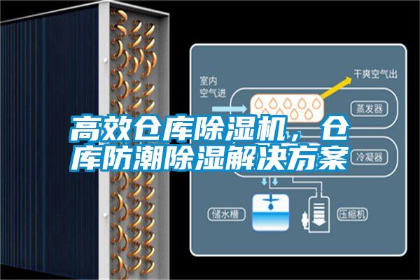 高效倉(cāng)庫除濕機(jī),倉(cāng)庫防潮除濕解決方案