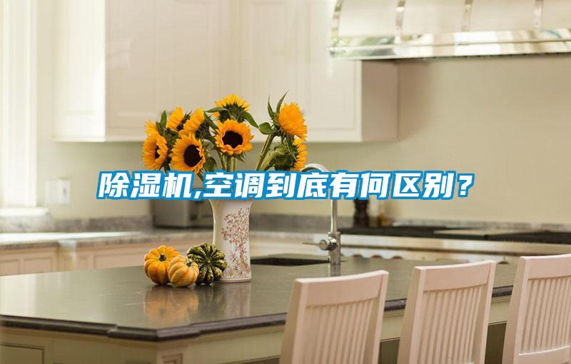 除濕機,空調到底有何區別?