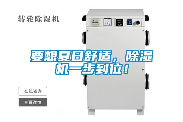 要想夏日舒適,除濕機一步到位!