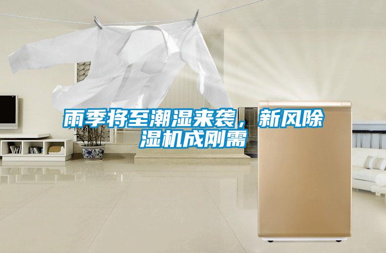 雨季將至潮濕來襲，新風除濕機成剛需