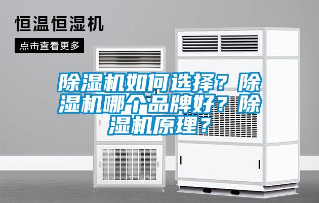 除濕機如何選擇？除濕機哪個品牌好？除濕機原理？