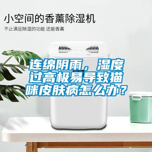 連綿陰雨,濕度過高極易導致貓咪皮膚病怎么辦?