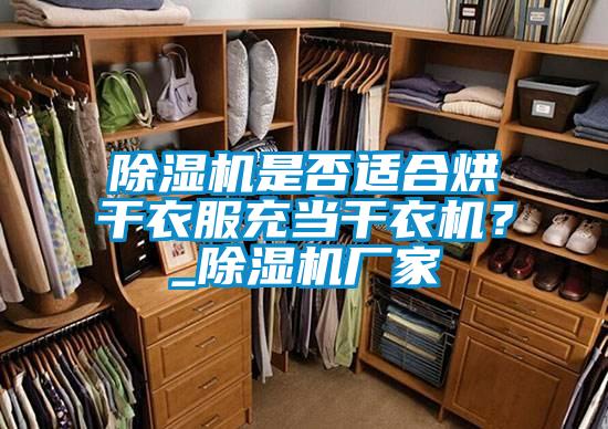 除濕機是否適合烘干衣服充當干衣機?_除濕機廠家