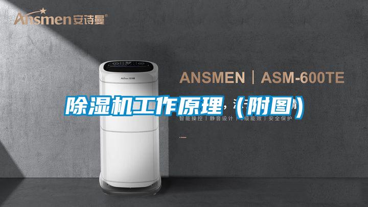 除濕機(jī)工作原理(附圖)