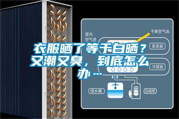衣服曬了等于白曬？又潮又臭，到底怎么辦…