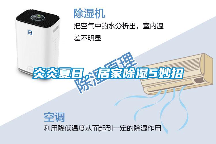 炎炎夏日,居家除濕5妙招