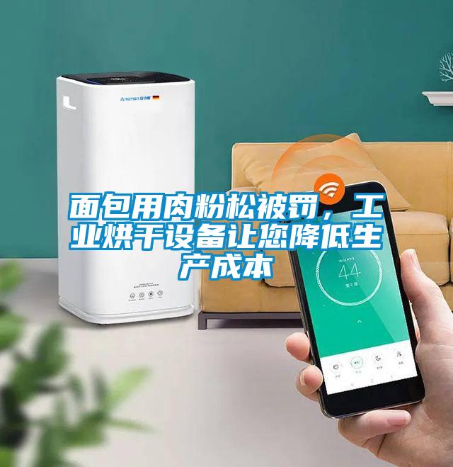 面包用肉粉松被罰,工業烘干設備讓您降低生產成本