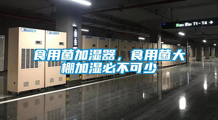 食用菌加濕器,食用菌大棚加濕必不可少