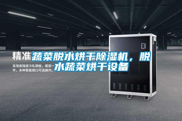 蔬菜脫水烘干除濕機(jī),脫水蔬菜烘干設(shè)備