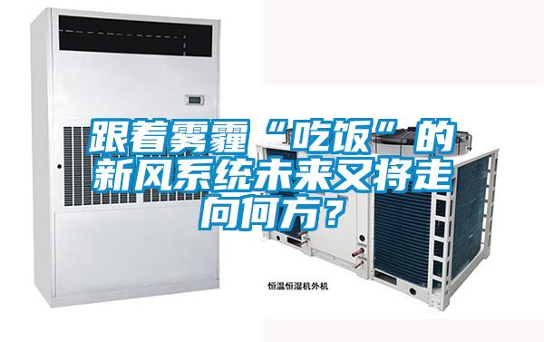 跟著霧霾“吃飯”的新風系統未來又將走向何方？
