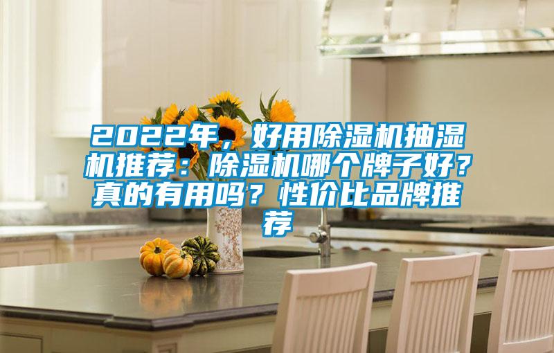 2022年,好用除濕機抽濕機推薦:除濕機哪個牌子好?真的有用嗎?性價比品牌推薦