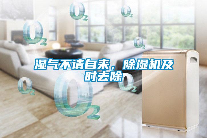 濕氣不請自來，除濕機及時去除