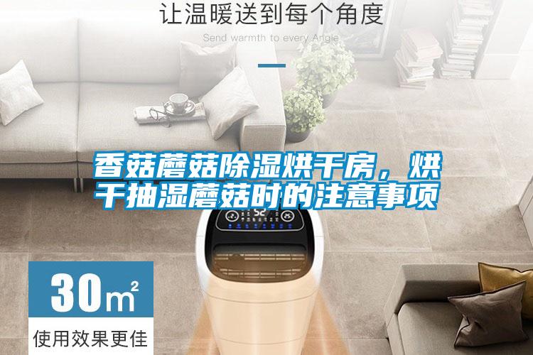 香菇蘑菇除濕烘干房,烘干抽濕蘑菇時的注意事項