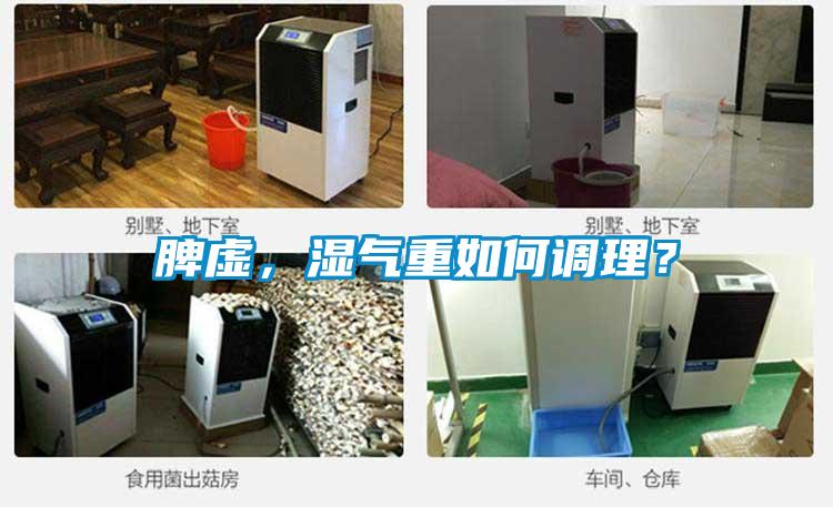 脾虛，濕氣重如何調(diào)理？