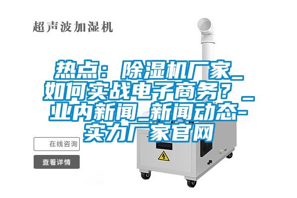 熱點：除濕機廠家_如何實戰電子商務？_業內新聞_新聞動態-實力廠家官網