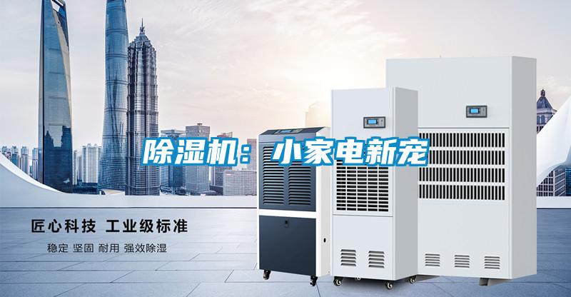 除濕機:小家電新寵