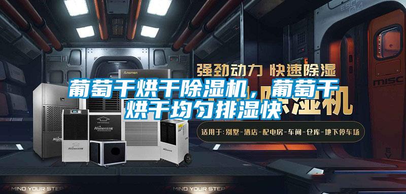 葡萄干烘干除濕機,葡萄干烘干均勻排濕快