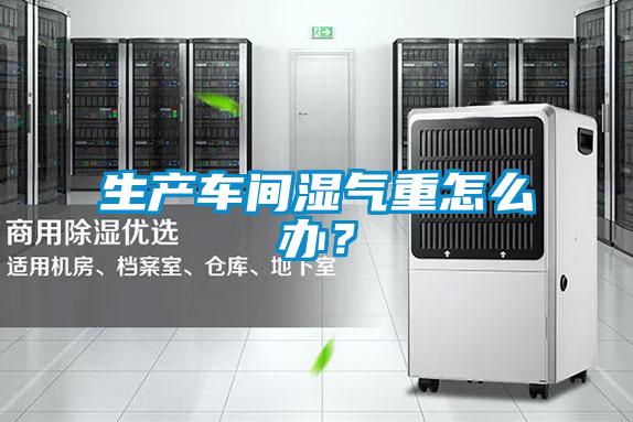 生產車間濕氣重怎么辦?