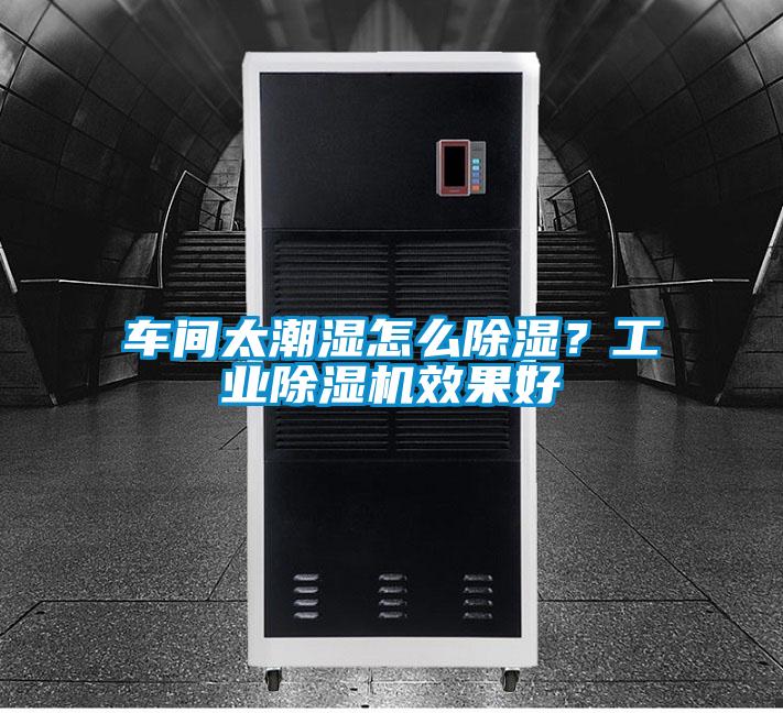 車間太潮濕怎么除濕?工業(yè)除濕機(jī)效果好