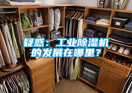 疑惑:工業(yè)除濕機的發(fā)展在哪里?