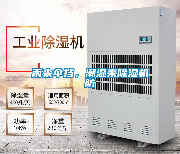 雨來傘擋,潮濕來除濕機防