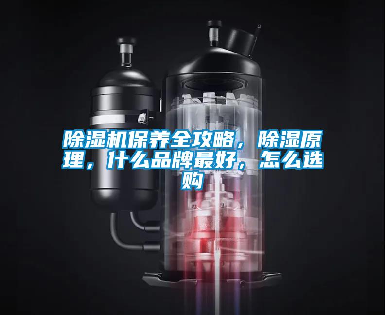 除濕機(jī)保養(yǎng)全攻略,除濕原理,什么品牌最好,怎么選購