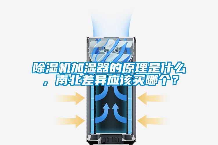 除濕機加濕器的原理是什么,南北差異應該買哪個?