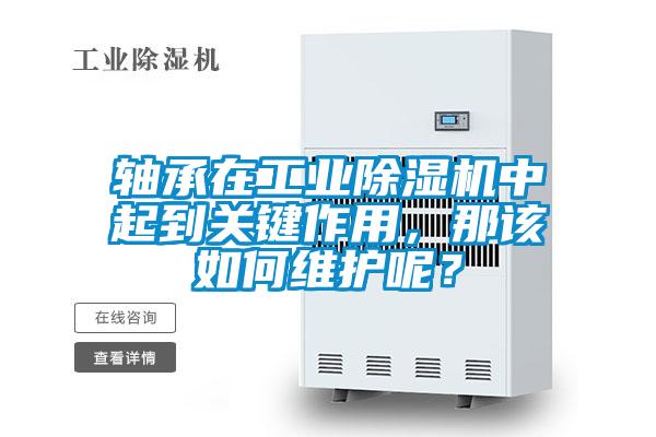 軸承在工業(yè)除濕機(jī)中起到關(guān)鍵作用，那該如何維護(hù)呢？