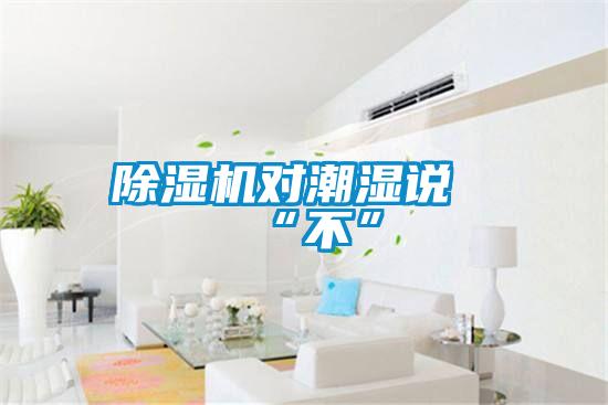 除濕機(jī)對(duì)潮濕說(shuō)“不”