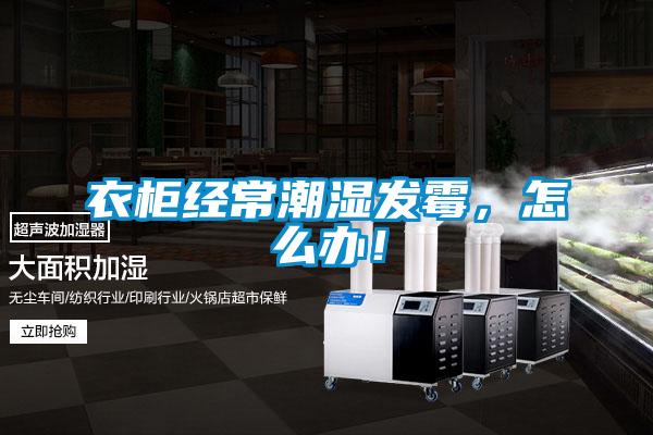 衣柜經(jīng)常潮濕發(fā)霉，怎么辦！