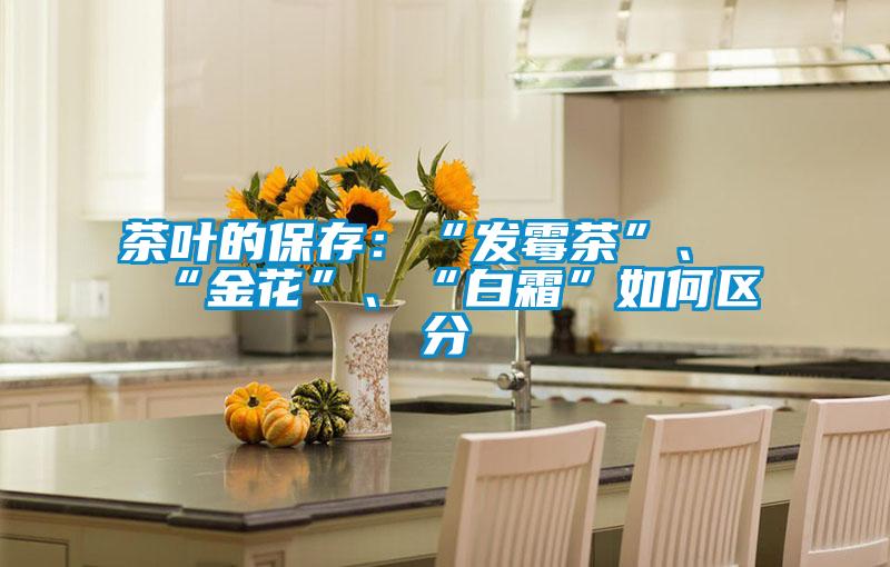 茶葉的保存：“發(fā)霉茶”、“金花”、“白霜”如何區(qū)分