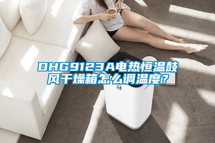 DHG9123A電熱恒溫鼓風干燥箱怎么調溫度?