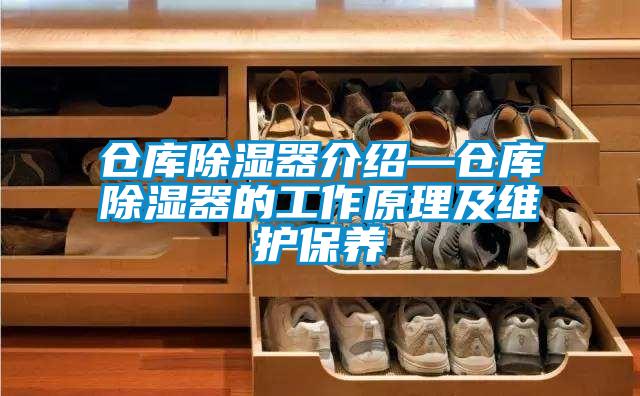 倉庫除濕器介紹—倉庫除濕器的工作原理及維護保養