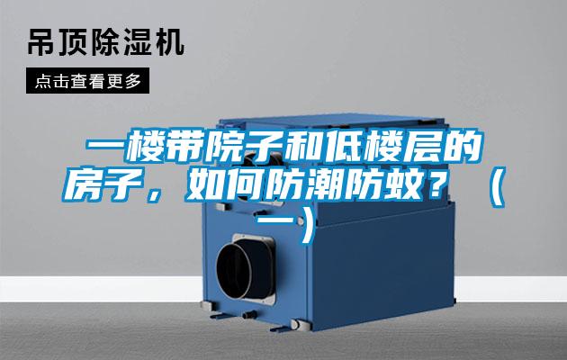 一樓帶院子和低樓層的房子,如何防潮防蚊?(一)