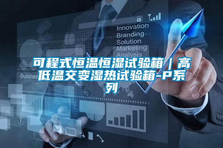 可程式恒溫恒濕試驗箱|高低溫交變濕熱試驗箱-P系列