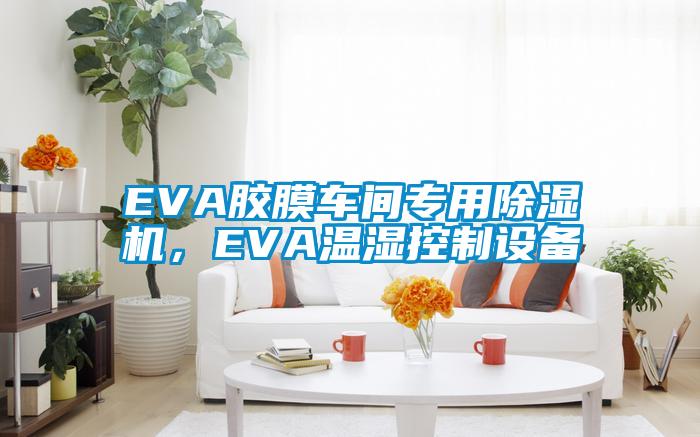 EVA膠膜車(chē)間專(zhuān)用除濕機(jī)，EVA溫濕控制設(shè)備